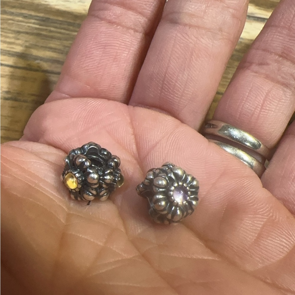 Pandora charm